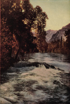 Songs in the Sierra