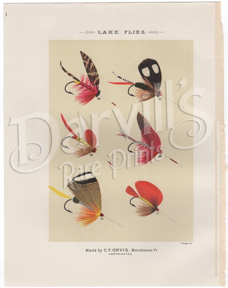 Favorite Flies and Their Histories Mary Orvis Marbury (1892) original antique fly fishing print