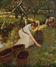 Gathering Plums