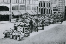 Flower Vendors, San Francisco