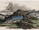 Ackermann's Repository of Arts