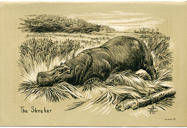 The Shreker