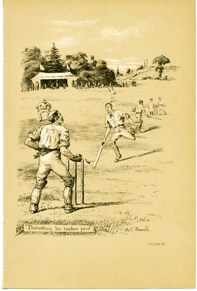 Cricket print