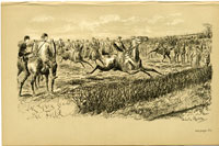 The Grey leads the field