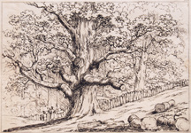 Plate 16: [untitled trees/landscape/fence/people walking] 