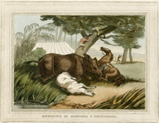 Anecdote of Hunters & Rhinoceros