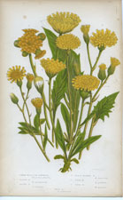 112