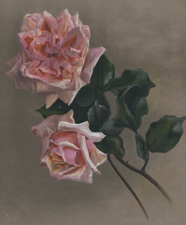 ROSE MADAM NABONNAND