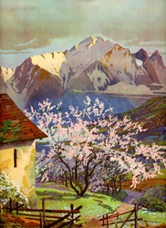 Vintage cottage, cabin, and mill scenes 1910s-1940s