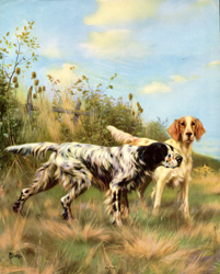 Vintage calendar/poster prints of dogs