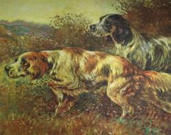 Vintage calendar/poster prints of dogs