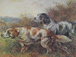 Vintage calendar/poster prints of dogs